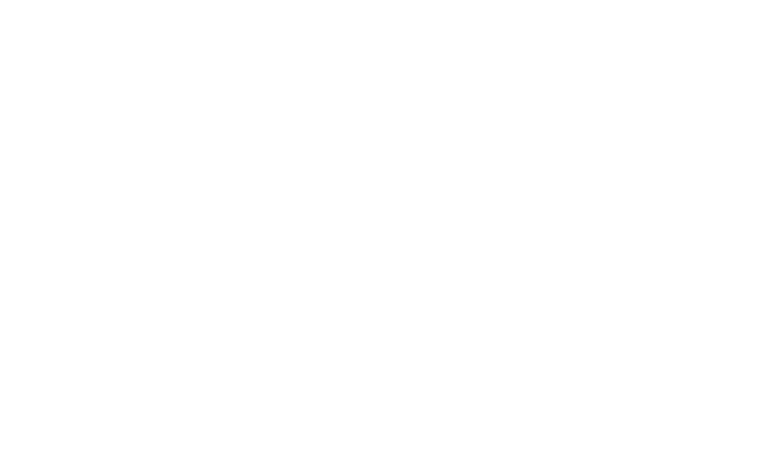 SAE International